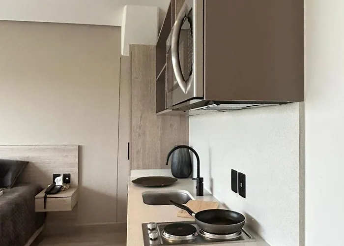 Apartment Loft Nuevo De Lujo Con Balcon Y Vista Historica De La Ciudad De *